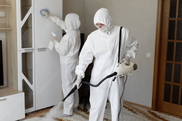 Why You Should Choose Our Mold Remediation Services in Old Forge, PA